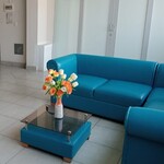 Sofas celeste